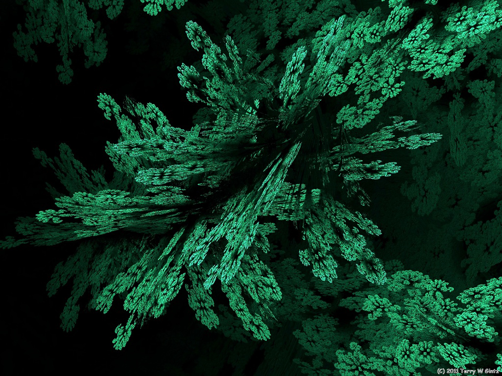 mandelbulb_ferns